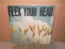 VINTAGE DISCHORD HARD CORE FLEX YOUR HEAD 33 VINYL LP RECORD ALBUM PUNK GARAGE