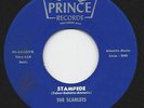THE SCARLETS   STAMPEDE / PARK AVENUE    NM SURF 45 LISTEN