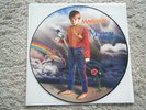 LP MARILLION Misplaced Childhood VINYL PICTURE DISC Fish Genesis