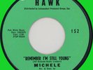 MICHELE (Girl Group) Remember I'm Still Young 45rpm Hawk 1964