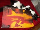 Rare Classic Slowdive Just For A Day Original Creation LP crelp094 shoegaze
