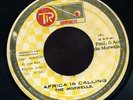 Morwells - Africa Is Calling JA orig 45 ??