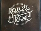 NATURAL MAGIC Self Titled LP on Wizard Private Press Hard Rock Metal MIAMI FL
