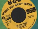 (Hear) 1965 Dan Penn Northern Soul 45 on MGM (I m Your Puppet)
