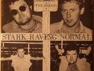 The Blood - Stark Raving Normal  7