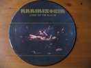 RAMMSTEIN - LIEBE IST FUR ALLE DA ( PICTURE DISC )