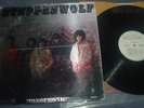 STEPPENWOLF 1st LP MONO 1968 Orig. WLP 1st Promo  MONOPHONIC..RARE PSYCH