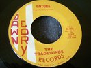 60s SURF GUITAR INSTRUMENTALS--TRADEWINDS--GOTCHA / SURFIN' THUNDER--DAWN CORY