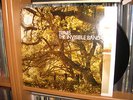 TRAVIS  The Invisible Band   vinyl LP   rare OOP   brit classic