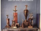 Jimmy Eat World - Bleed American - Used Vinyl