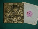 JETHRO TULL 
