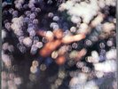 Pink Floyd - Obscured By Clouds - SEALED Italian EMI import