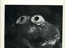Robert Aaron Lp Datura - Rare 1981 Electronic Improvisation ?Hear