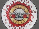GUNS 'n ROSES ? november rain RARE NU picture vinyl EP ? PATIENCE & Sweet Child