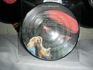 TRES RARE 33T PICTURE DISC  LED ZEPPELIN PARFAIT ETAT