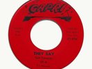 Cam Cameron-They Say-Vinyl-45rpm