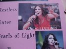 Within Temptation The Gathering SPLIT LP RARE Nightwish EPICA EVANESCENCE GOTHIC