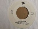 VALLEY GIRL VALLEY SCRATCH LINDSEY CHAPEL - MONSTER RARE ELECTRO ALERT