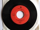 DEATH '76 Detroit Punk 7