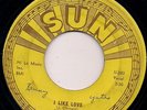 Roy Orbison I Like Love - Sun 284