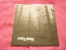 The Cure  - A Forest -  12 in Vinyl - Fiction records