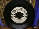 Rockin Robin Roberts LOUIE LOUIE b/w MARYANN Etiquette ET-1 Garage PUNK 45