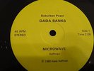 Incredibly Rare Punk Rock 45 RPM Dada Banks Microwave & Communism PS and Insert
