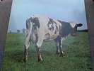 LP PINK FLOYD Atom Heart Mother RARE DE, MINT-
