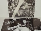MUDHONEY-Superfuzz Bigmuff LP RARE first press with poster inner Green River