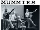 RARE the MUMMIES : Out Of Our Tree - ESTRUS 1990 garage USA Wailers covers