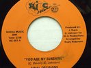 MODERN SOUL DEEP 45-FINAL DECISIONS-YOU ARE MY SUNSHINE