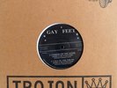 JOHNNY & THE ATTRACTIONS - COMING ON THE SCENE - TROJAN DUB PLATE 10