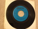 THE PREPARATIONS CAN'T MAKE IT BY MYSELF/YOU DON'T WANT ME, JARDA RARE OG 45