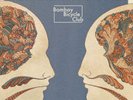 bombay bicycle club, Lp, vinyl, new, a different kind of fix