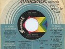 Rare Funk / Soul 45 - Little Richard - Soul Train - Brunswick - Mint Minus