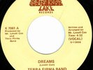 TERRA FIRMA BAND Dreams DEEP MODERN SOUL 45 on LAKE VG++