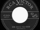 THE ROBINS How Would You RARE DOO WOP 45 on RCA 5434 VG++