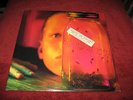 ALICE IN CHAINS  