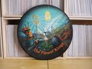 Flower kings - Back in the world of adventures / LP Picture disc