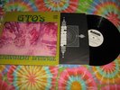GTO's Zappa produced PERMANENT DAMAGE White label promo EX vinyl w/ liner