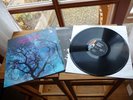 AMON DÜÜL 2 PHALLUS DEI KRAUTROCK DE 1969