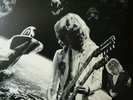 Led Zeppelin Bonzos Last Stand  lp