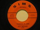 KELLY BROTHERS usa 45 HANGING IN HERE 7