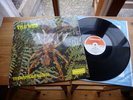 THE WEB THERAPHOSA BLONDI 1969 UK PROG. KNALLER 1ST rar