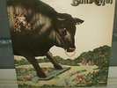 BULL ANGUS SELF  NEAR MINT RECORD RARE IN THIS SHAPE ROCK LP