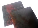 Scott Walker – The Drift Double LP Album Vinyl Excellent Condition 4AD CAD 2603