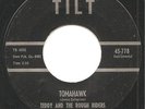 INSTRUMENTAL - ROCKER - TEDDY and The Rough Riders on TILT - 