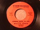 WILLIE JONES Rare 1959 DETROIT R&B SOUL POPCORN/DOO-WOP 45 on STORM Hear Both