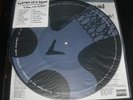 SYSTEM OF A DOWN Steal This Album (2002 US Picture Disc 2 LP Vinyl Serj Tankian