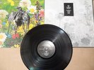 CURRENT 93 SWASTIKAS FOR NODDY LP 1987 SOL INVICTUS COIL DEATH IN JUNE